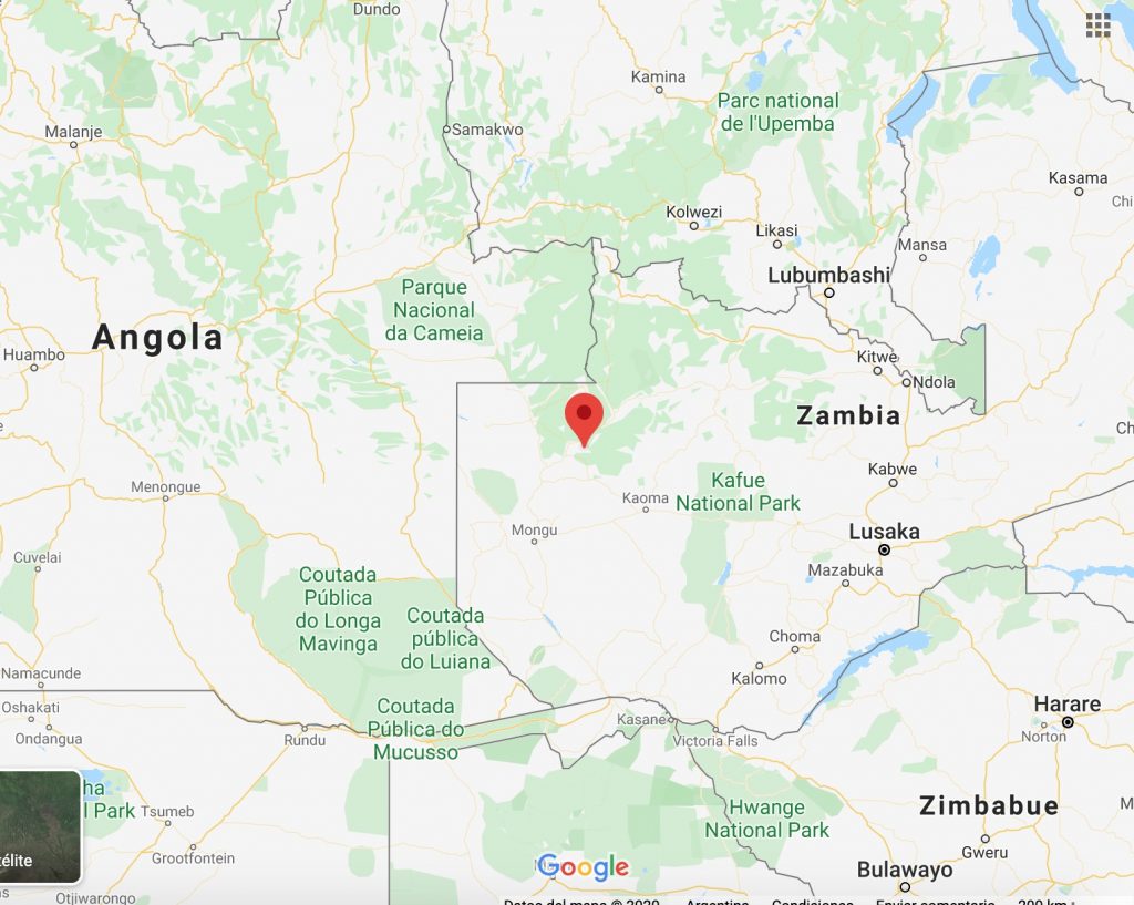  african swine fever zambia Nakonde and Shiwang’andu Muchinga