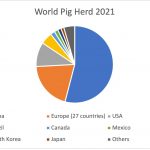 China recovers its pig herd to pre ASF level and pork price reaches minimums
